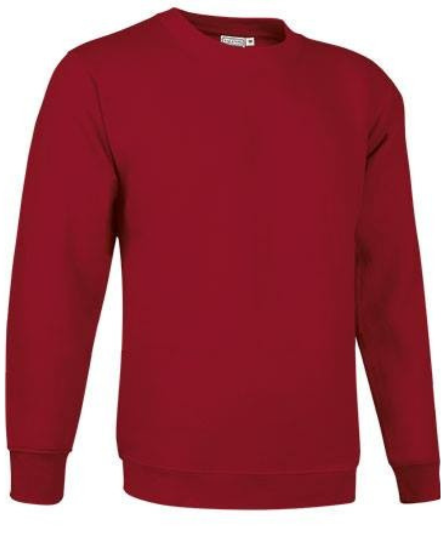 Unisex džemperis "DUBLIN" (yra sandėlyje)