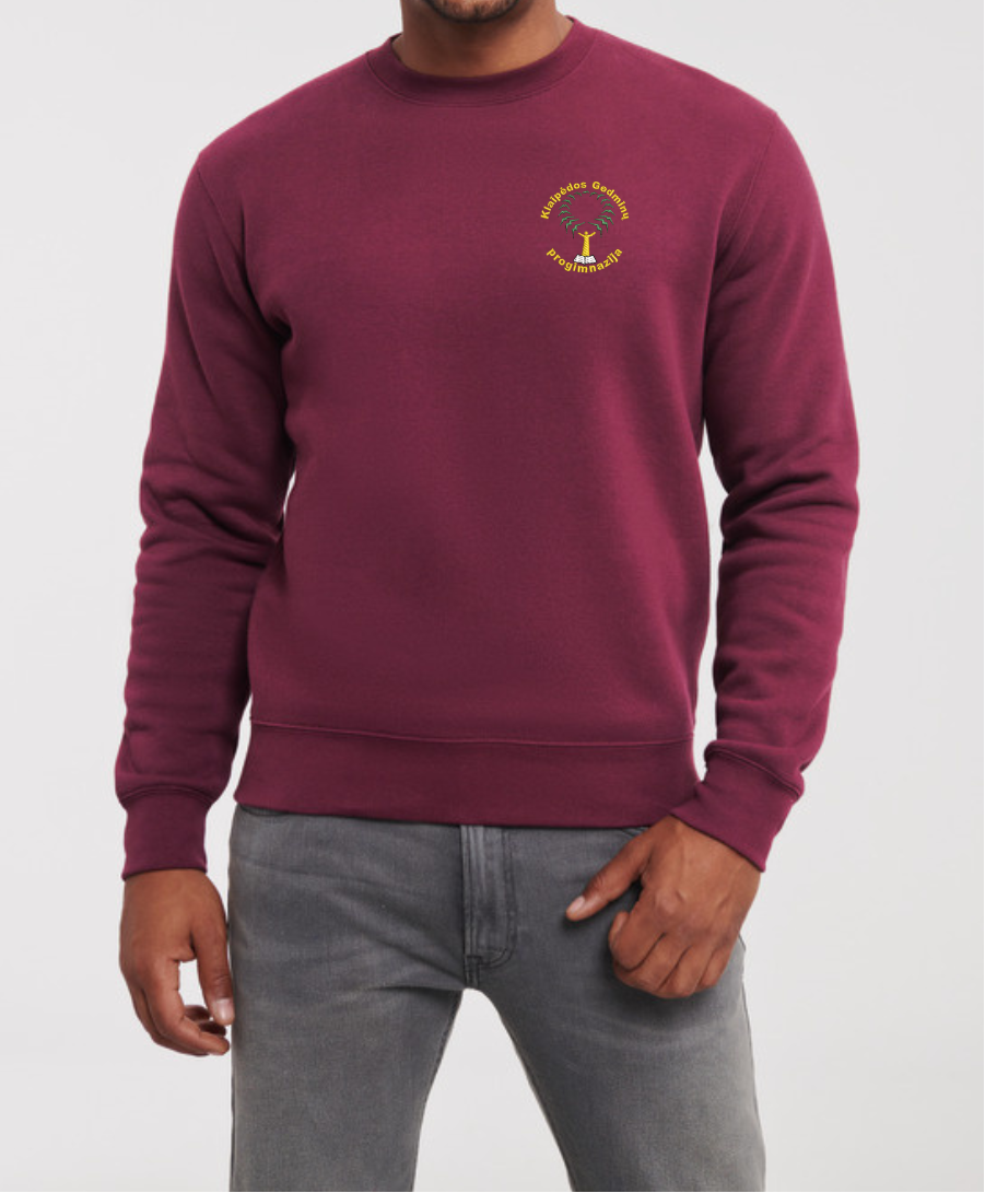 Klaipėdos Gedminų progimnazijos džemperis su logo 262/265