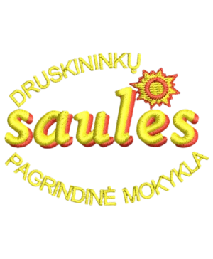 Druskininkų Saulės pagrindinės mokyklos džemperis su logo 262
